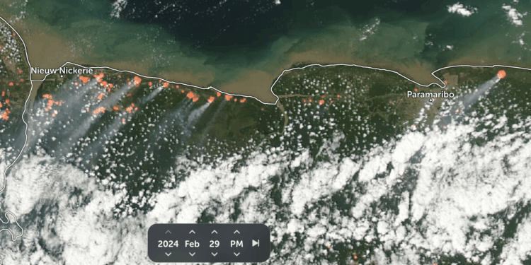 Screenshotrookontwikkeling en bosbrand 2024-04-05 at 20107 PM